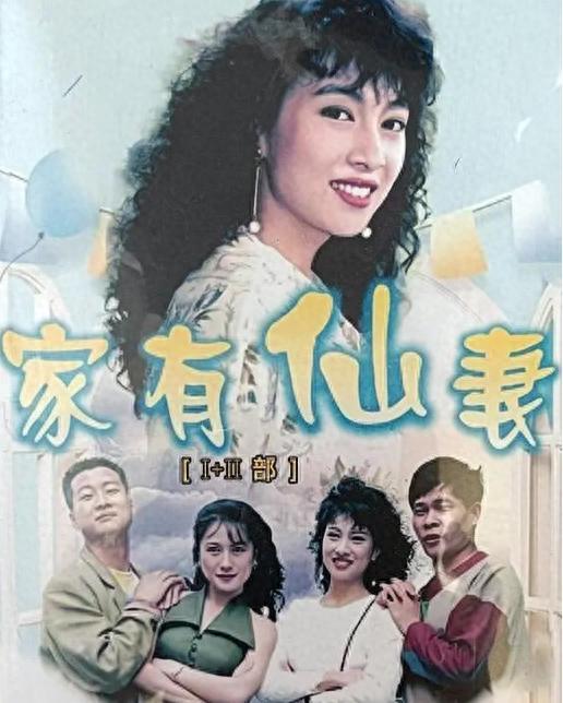 家有仙妻,奇幻家庭生活的甜蜜碰撞